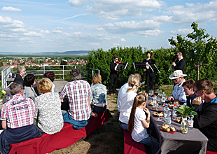 Wein-Wander-Konzert Mai 2015